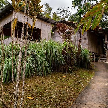 Rain Forest Inn Ringlet Extérieur photo