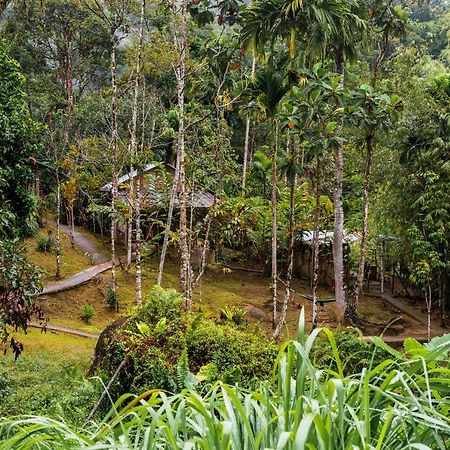 Rain Forest Inn Ringlet Extérieur photo