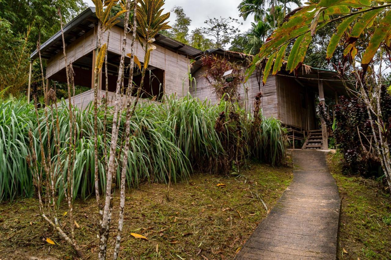 Rain Forest Inn Ringlet Extérieur photo