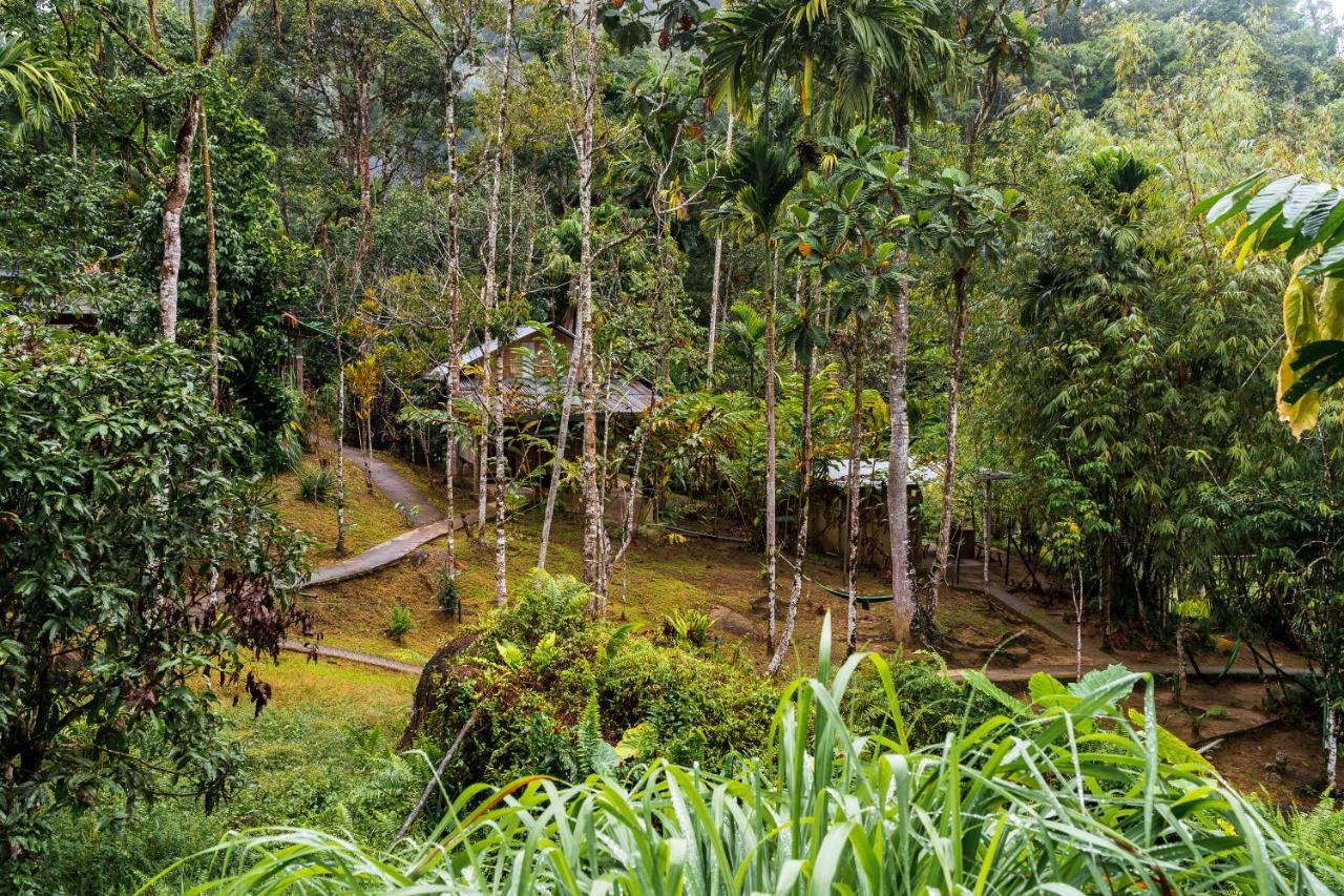Rain Forest Inn Ringlet Extérieur photo