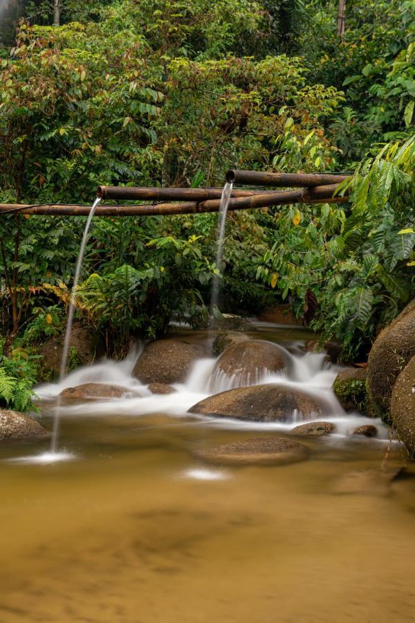 Rain Forest Inn Ringlet Extérieur photo