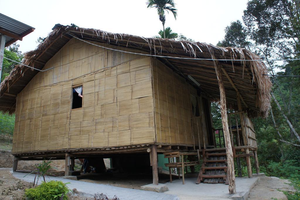Rain Forest Inn Ringlet Extérieur photo