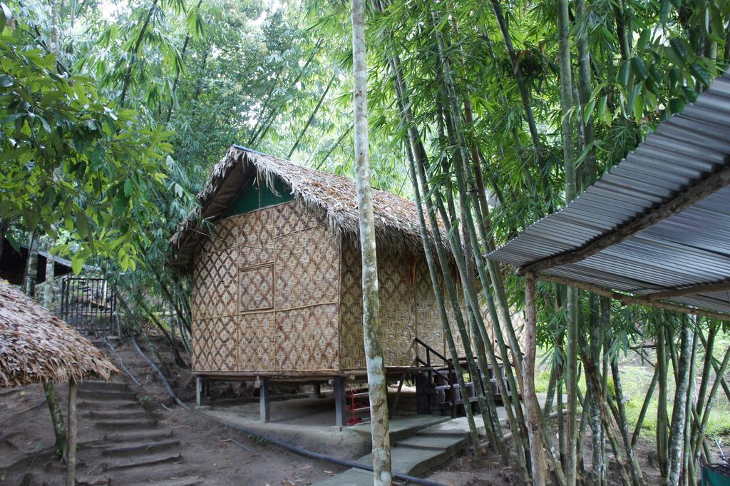 Rain Forest Inn Ringlet Extérieur photo
